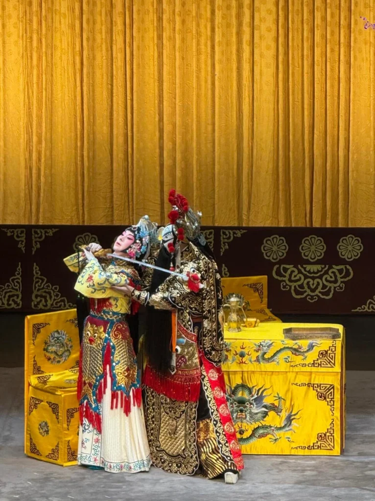 Peking Opera Farewell My Concubine stage performance dramatic makeup costumes