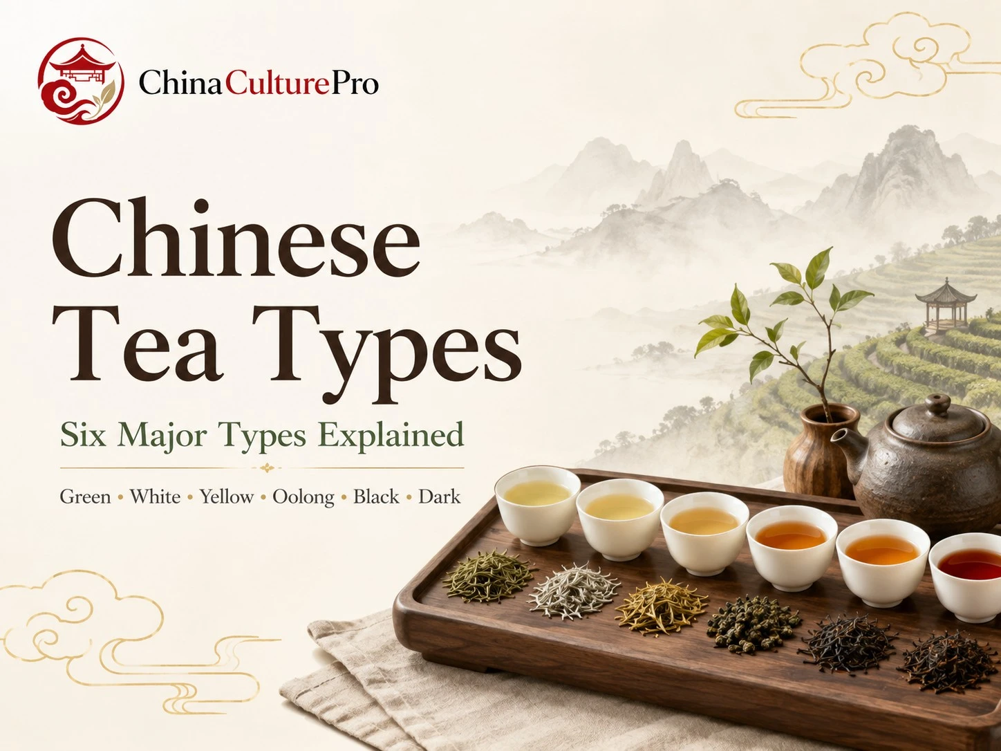 Chinese tea types cover with six tea cups, loose leaf samples, and six major tea categories display